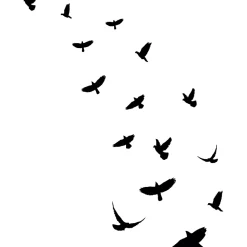 15 stickers oiseaux anti-collision translucide 65 x 65 cm