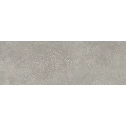 Carrelage mural aspect béton gris Asphalt 30 x 90 cm