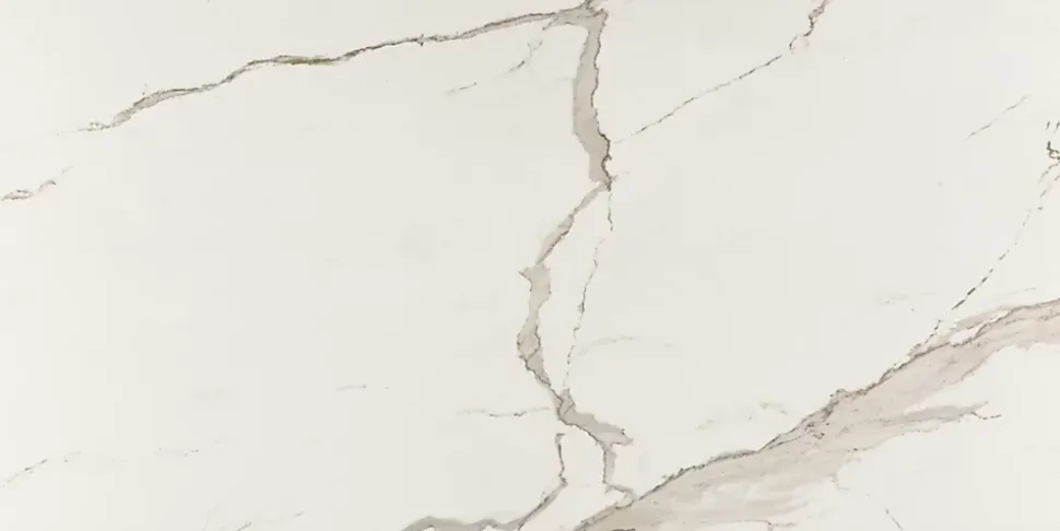 Carrelage sol/mur intérieur effet MARBRE l.60 x L.120 cm ALBATROS