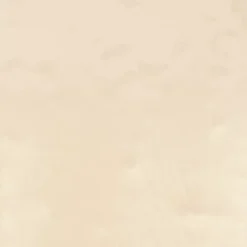 Faïence Paola Beige 20 x 20cm ( vendu par boite de 1 m² )
