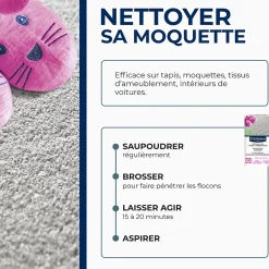 Nettoyeur à sec tapis et moquettes Starwax 500g