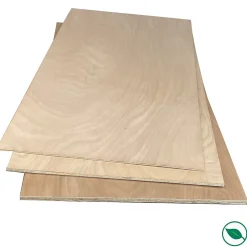 Panneau contreplaqué powerplex bio 1200 x 600 x 10 mm