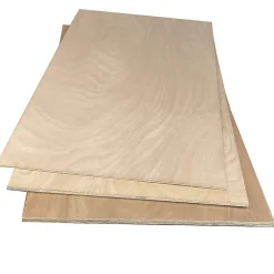 Panneau contreplaqué powerplex bio 1200 x 600 x 10 mm