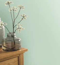 Papier peint vinyle intissé uni vert L.1005 x l.53 cm GoodHome Aune