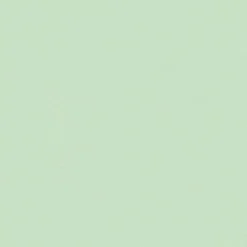 Papier peint vinyle intissé uni vert L.1005 x l.53 cm GoodHome Aune