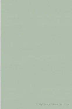 Papier peint vinyle sur intissé Uni L.10.05 x l.0.53 m. - Réf. SP15912