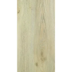Parquet stratifié 12 mm ARISTOTE SOLID PLUS