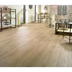Parquet stratifié 8 mm CHENE PRALIN - OSMOZE