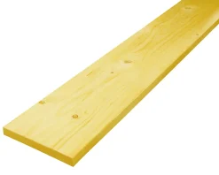 Planche bois traitée 200 x 27 mm L.4 m