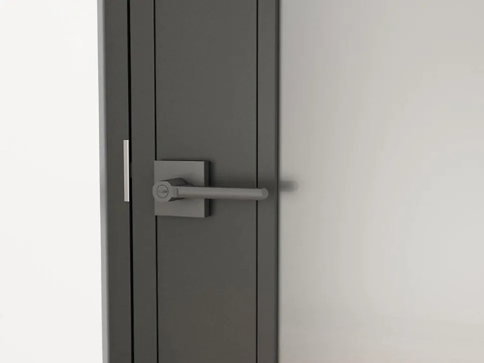 Porte complète Intérieure en verre avec cadre Schulte - Serrure- 71x197 - Noir - Transparent - 3 Vitrages - droit