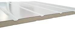 Porte de garage basculante blanche l.250 x H.200 cm x Ep.20 mm