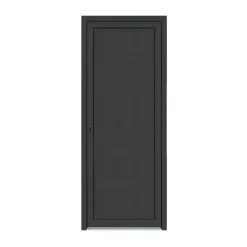 Porte de service pvc pleine gris anthracite ext. et blanc int. 80 x h.205 cm poussant droit