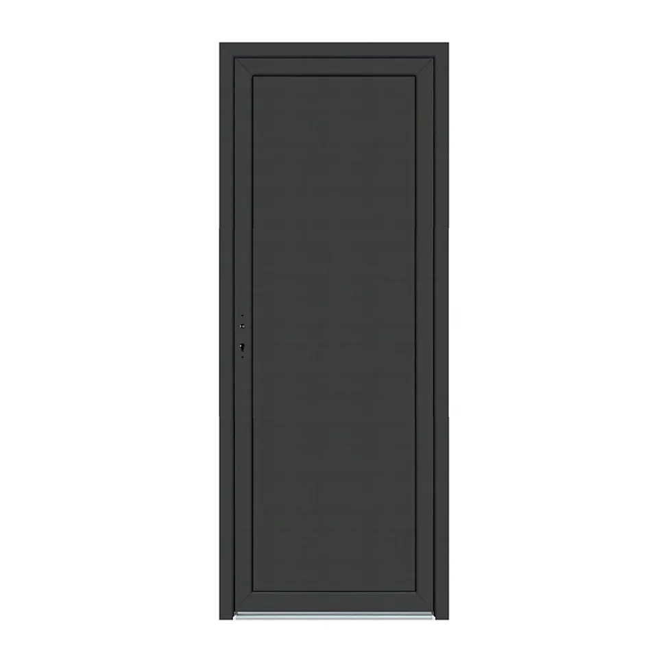 Porte de service pvc pleine gris anthracite ext. et blanc int. 80 x h.205 cm poussant droit