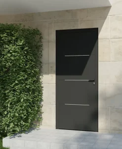 Porte d'entrée alu gris Leme H.215 x l.90 cm poussant gauche