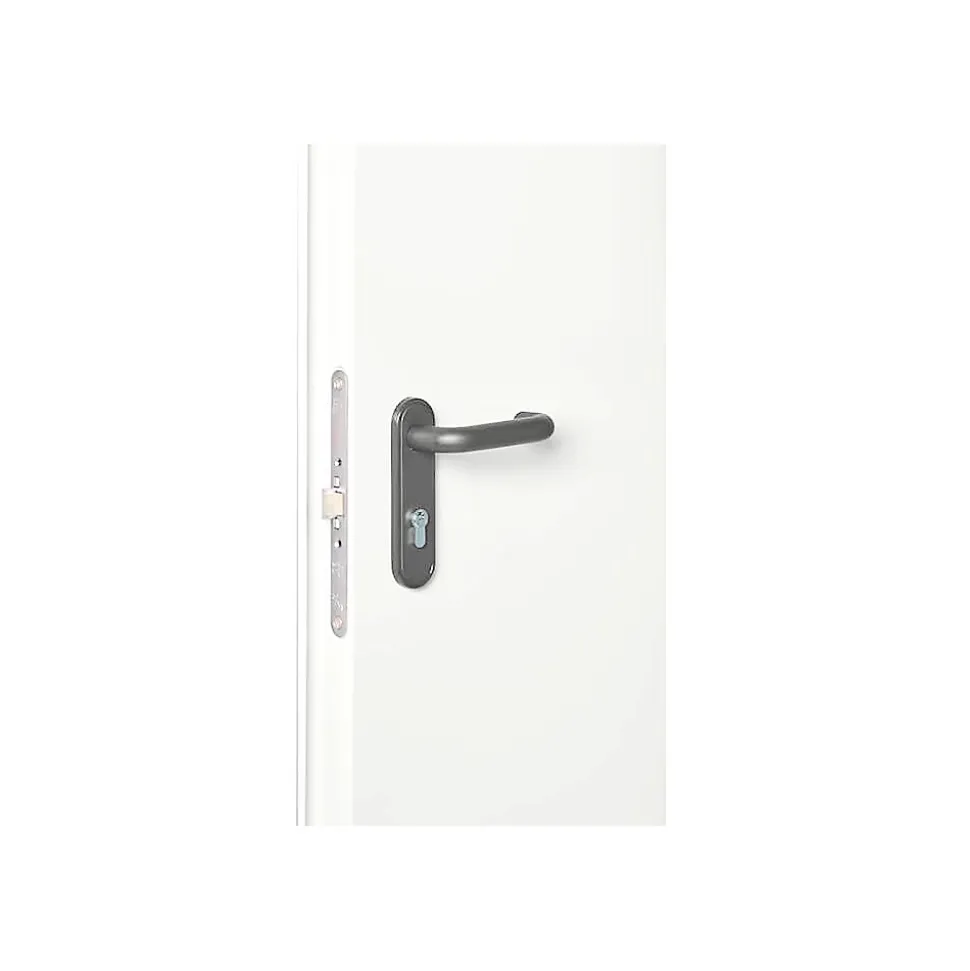 Porte Métallique Industrielle De Service Isolée Réversible L900 H2050 RAL9010 En Applique