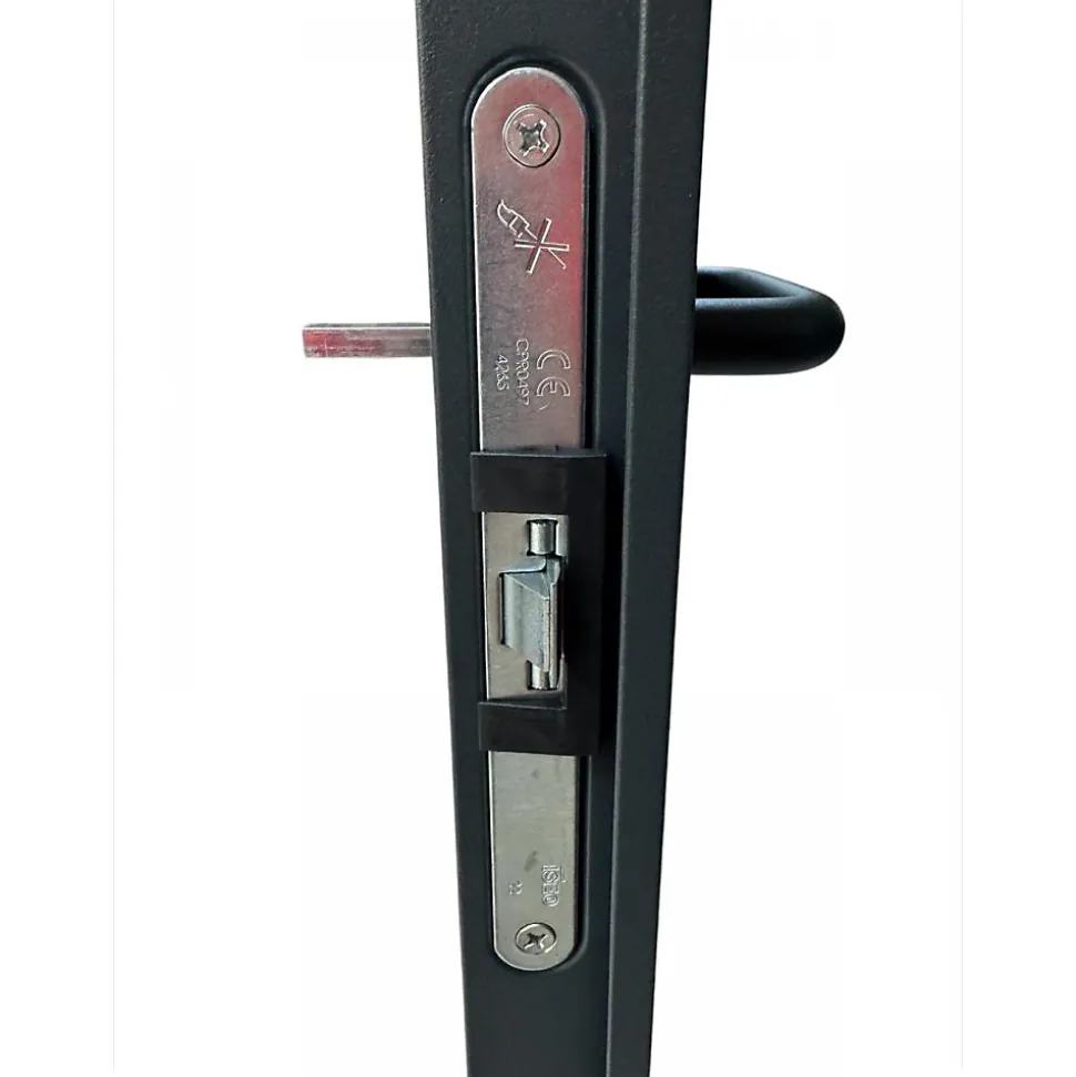 Porte Métallique Industrielle De Service Isolée Réversible L900 H2050 RAL9010 En Applique