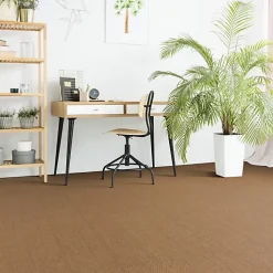 Sol Coco Delhi - Panama - Rouleau de 2m x 22m
