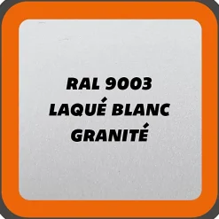 Verrière 2 grands carreaux - L x H : 69 x 110 cm - Laqué blanc 9003 granité - vitrages inclus