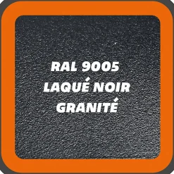 Verrière 2 grands carreaux - L x H : 69 x 125 cm - Laqué noir 9005 granité - vitrages inclus