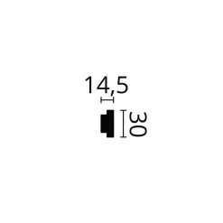 WL10 WALLSTYL Cimaise Polystyrène HD Noël & Marquet 30 x 15 x 2000 - 1 pièce